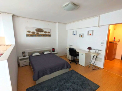 Garsonera, 45 mp, parcare supterana, central, Ansamblul Primavara