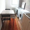 Garsoniera, decomandata, pet friendly, zona Brancoveanu - Secuilor thumb 5