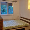 Apartament de 2 camere, decomandat, 50 mp, zona Dristor  thumb 4