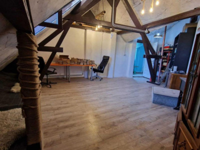 5 camere în vilă interbelică, renovată, la 3 min de Parcul Carol, stradal