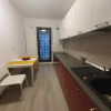 Garsoniera, decomandata, 40 mp, centrala, Plaza Residence  thumb 3