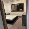 Apartament de 2 camere decomandat, centrală, pet friendly – metrou Timpuri Noi thumb 3