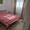  Apartament 2 camere | 55 mp | Pet-friendly | AC & Centrală | Zona 1 Decembrie  thumb 1