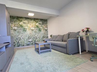 Apartament de 2 camere, centrala proprie, balcon, parcare, zona Drumul Taberei