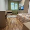 Apartament de 2 camere, CAT FRIENDLY, centrala proprie, zona Dristor  thumb 1