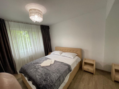Apartament de 2 camere, 50 mp, balcon, zona Piața Victoriei 