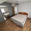 Apartament 2 camere, 42 mp, aer conditionat, centrala proprie, Damaroaia imaginea mica 1 Apartament 2 camere, 42 mp, aer conditionat, centrala proprie, Damaroaia thumb 1