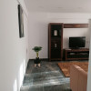 Apartament de 2 camere, decomandat, centrala proprie, CURTE, Malva Residence thumb 3