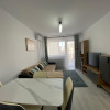Apartament de 2 camere, centrala, parcare, pet friendly, Hils Brauner  thumb 1