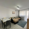 Apartament de 2 camere, centrala, parcare, pet friendly, Hils Brauner  thumb 2