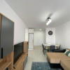 Apartament de 2 camere, centrala, parcare, pet friendly, Hils Brauner  thumb 3