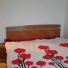 Apartament de 2 camere, decomandat, 50 mp, zona 1 Decembrie 1918  thumb 3