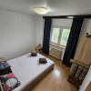 Apartament de 2 camere, proaspăt renovat, transport in comun, Tineretului thumb 5