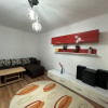 Apartament de 2 camere, 55 mp, decomandat, pet friendly, zona Baba Novac  thumb 2