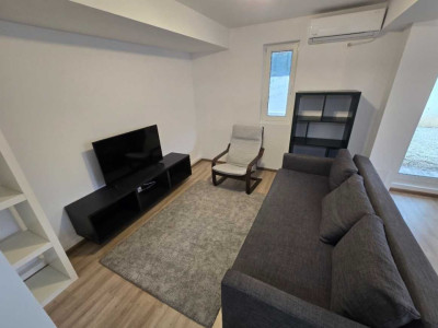 Aparament de 2 camere, 50 mp, curte, centrala, Lacul Tei