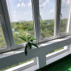 2 camere – Nicolae Grigorescu, lângă Parc IOR, renovat, etaj 9/10, 5 min metrou thumb 8