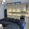 Apartament de 2 camere, 55 mp, dressing, centrala, balcon, MTM Pipera Lake thumb 2