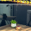 Studio, 58 mp, parcare inclusă, centrala, balcon, Cloud9 thumb 5