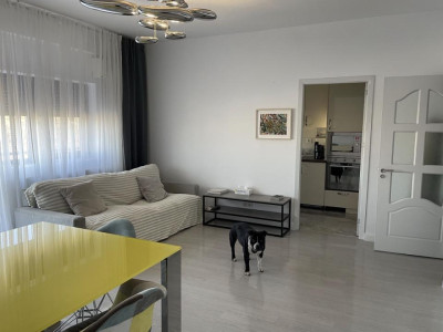 Apartament de 3 camere, 85 mp, pet friendly, centrală proprie, Jiului